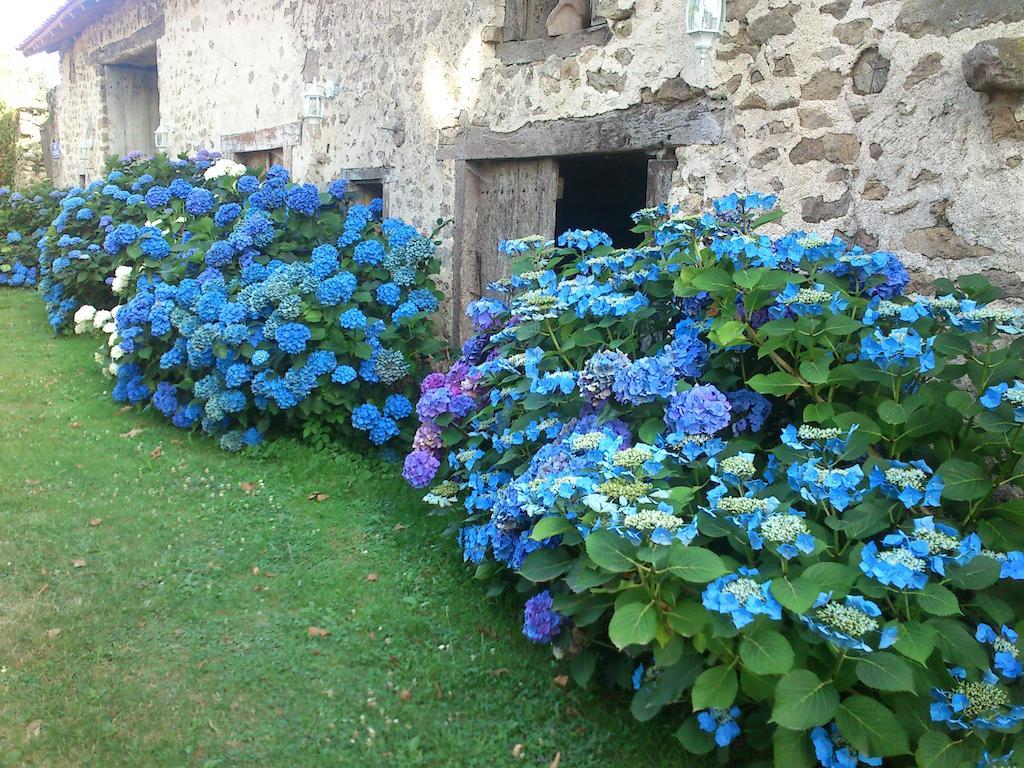 Berneuil  Le Domaine De Panissac B&B 외부 사진